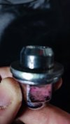 IMG_20230306_135800.jpg