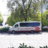 Carmela